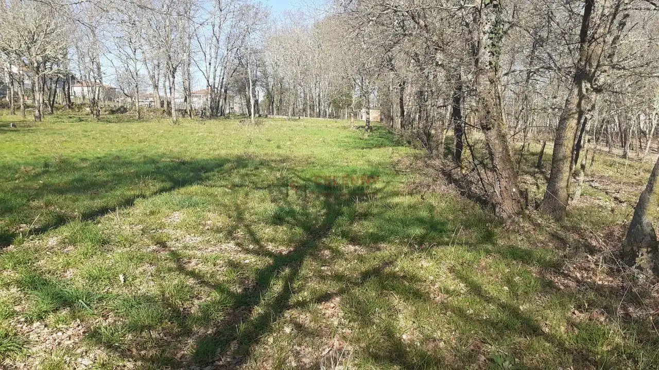 Terreni e lotti in vendita a Paderne de Allariz, imagen 3
