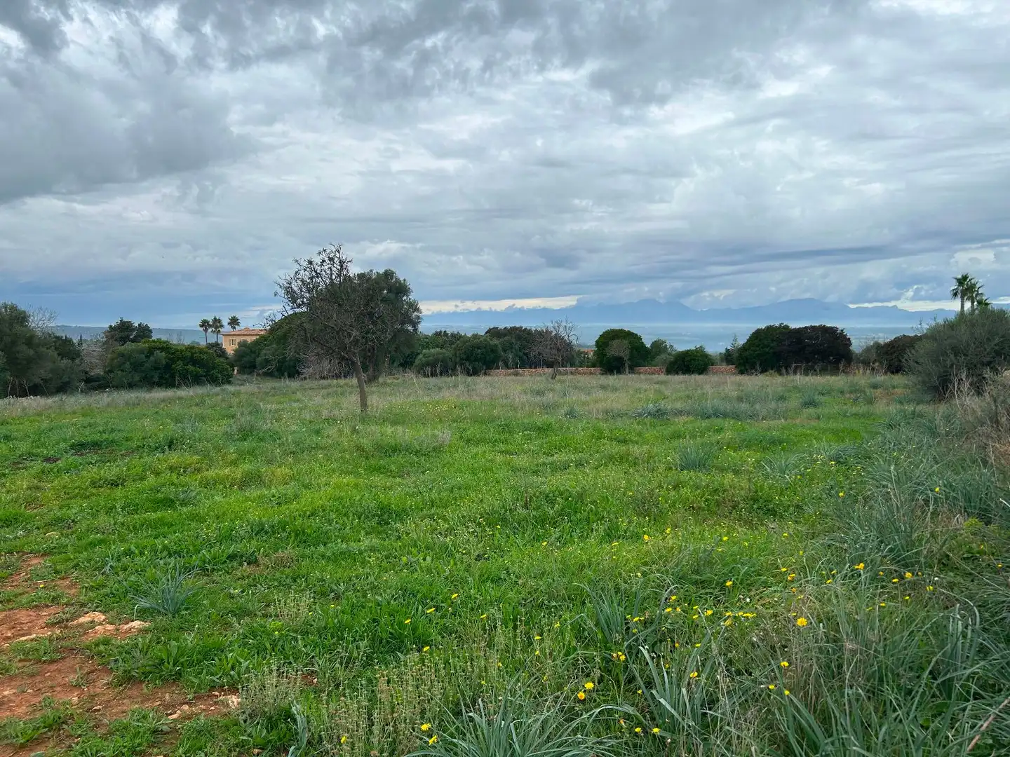 Casa rustica con giardino in vendita a Artà Poble, imagen 14