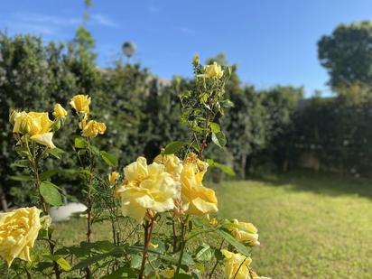 Garden of House or chalet for sale in Vitoria - Gasteiz  with Heating, Terrace and Storage room