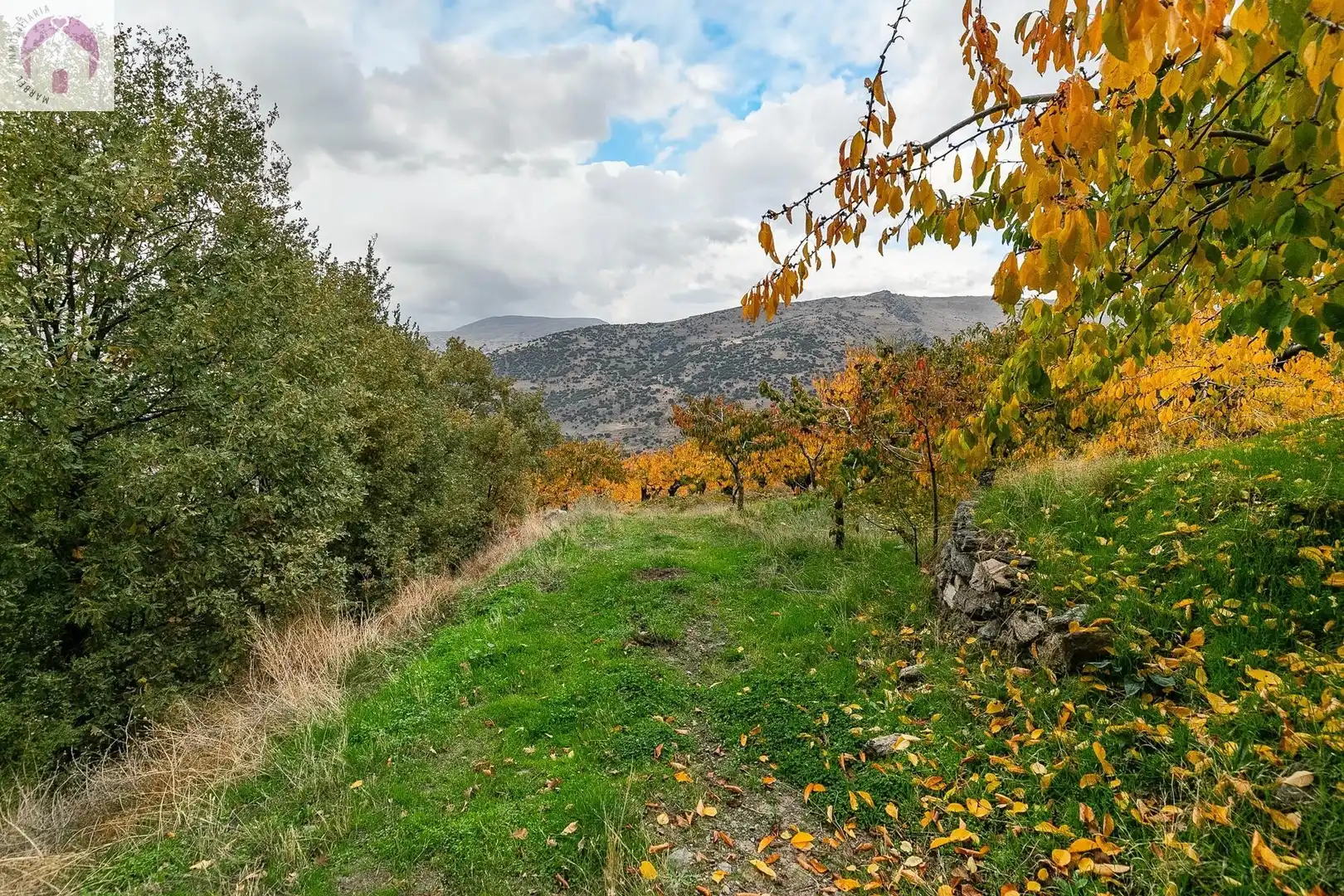 Lands and plots for sale in Güéjar Sierra, imagen 17