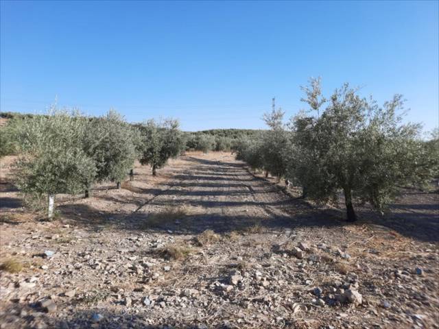 Terreno en Venta en Navas del Sepillar