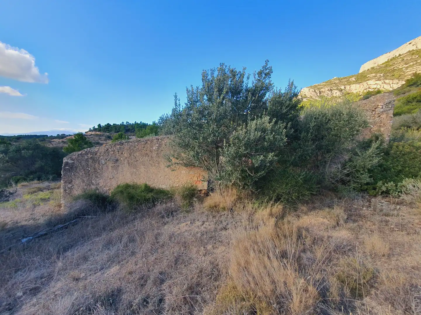 Maison à vendre à El Pinell de Brai, imagen 54