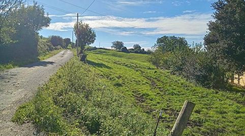 Consultoría Inmobiliaria Urdina VENDE Finca Rustica en Arnuero  Cantabria, immagine 5
