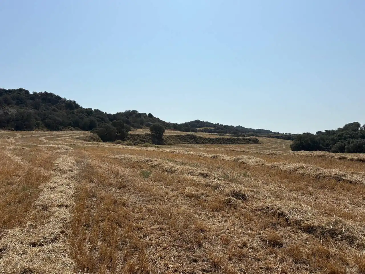 Terreno en venta en San Esteban de Litera