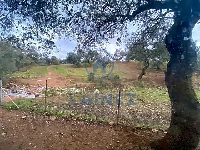 Residential land for sale in Fuente Obejuna, imagen 17