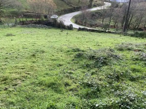Casa o chalet en venta en Covelo con Jardín privado
