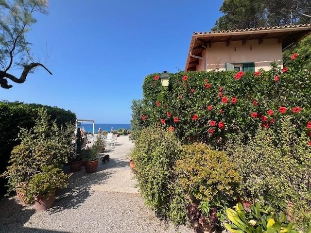 Jardí de Casa o xalet en venda en Pollença amb Aire condicionat, Jardí privat i Terrassa
