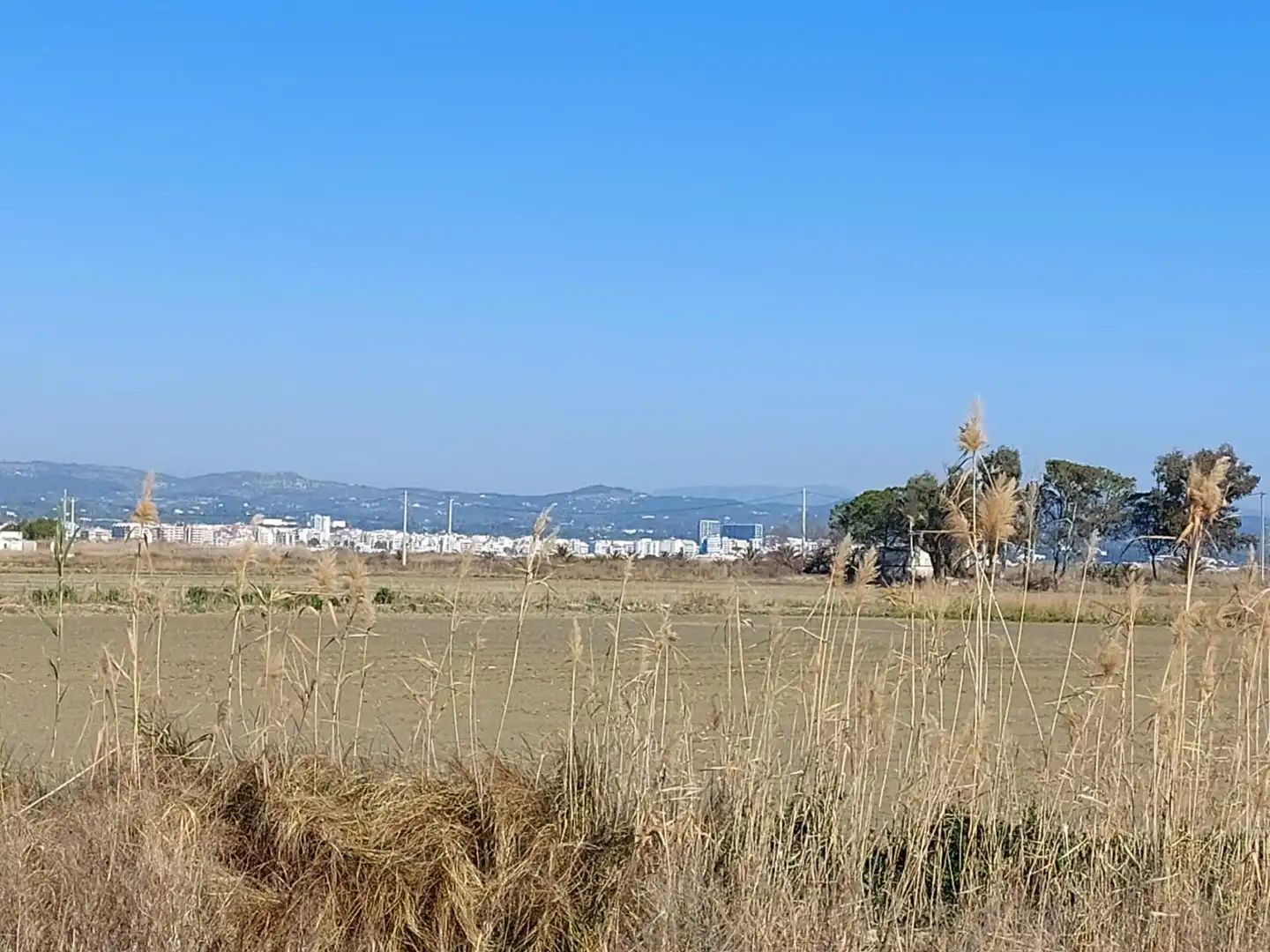 Finca rústica en venta en L'Ampolla