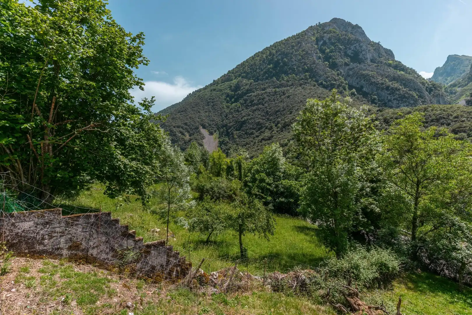 Terreno en venta en Peñamellera Alta