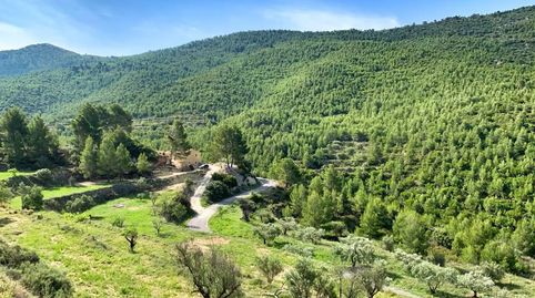Foto 5 de Finca rústica en venda a Sella, Alicante