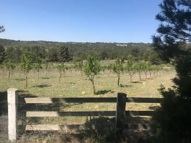 Country homes for sale in Cortes de Pallás  with Heating and Swimming Pool