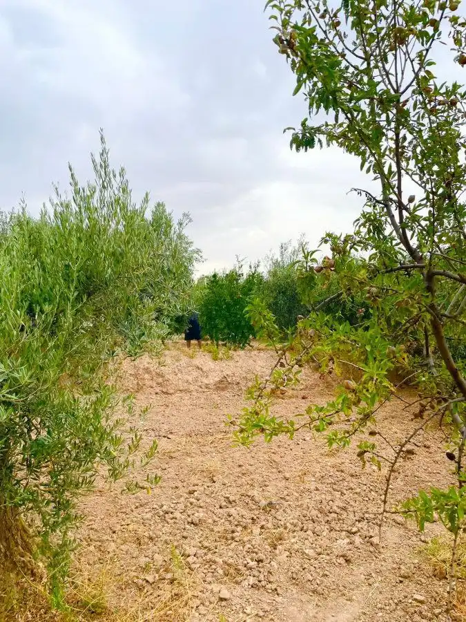 Country homes for sale in Vélez-Rubio