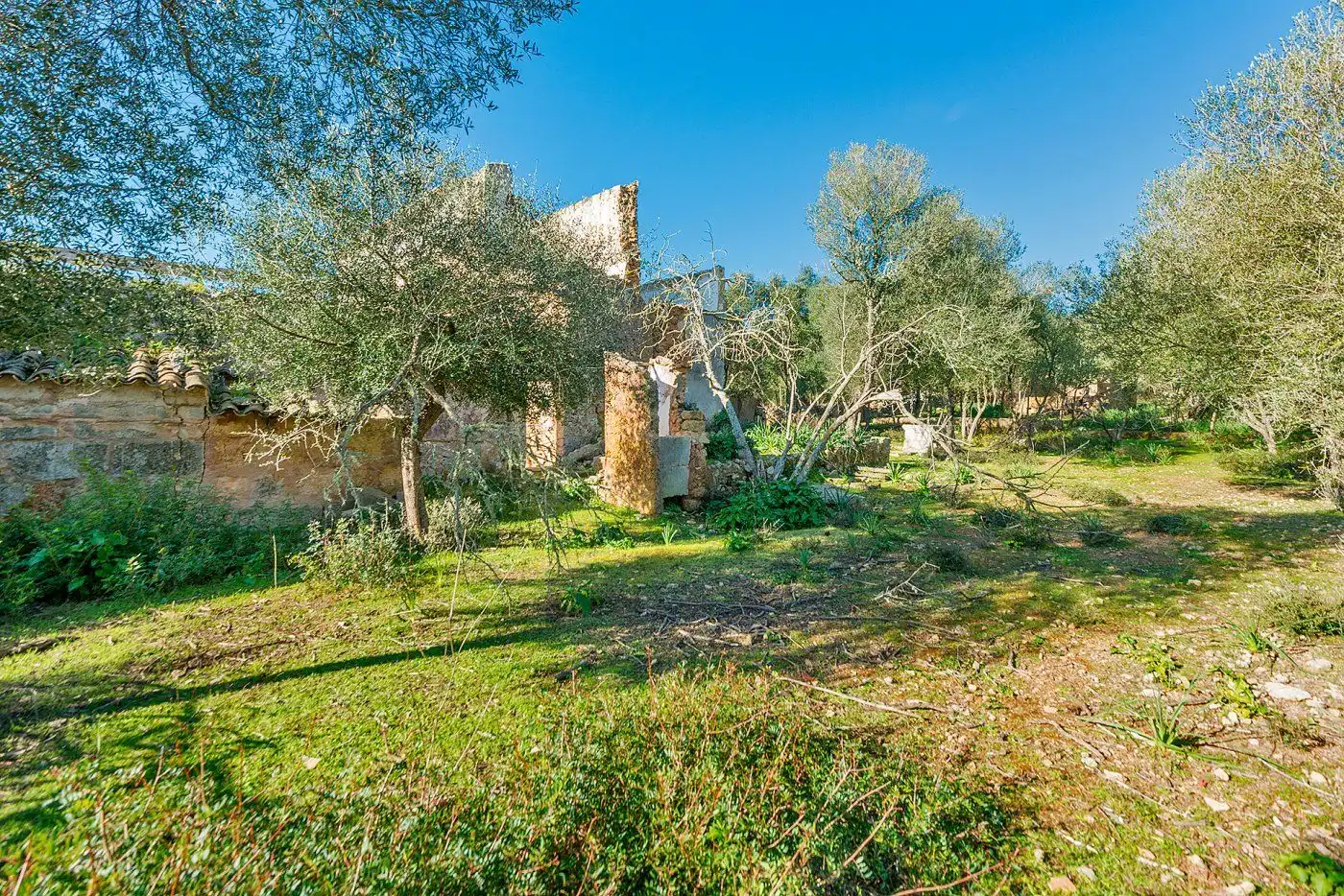 Country homes for sale in Inca
