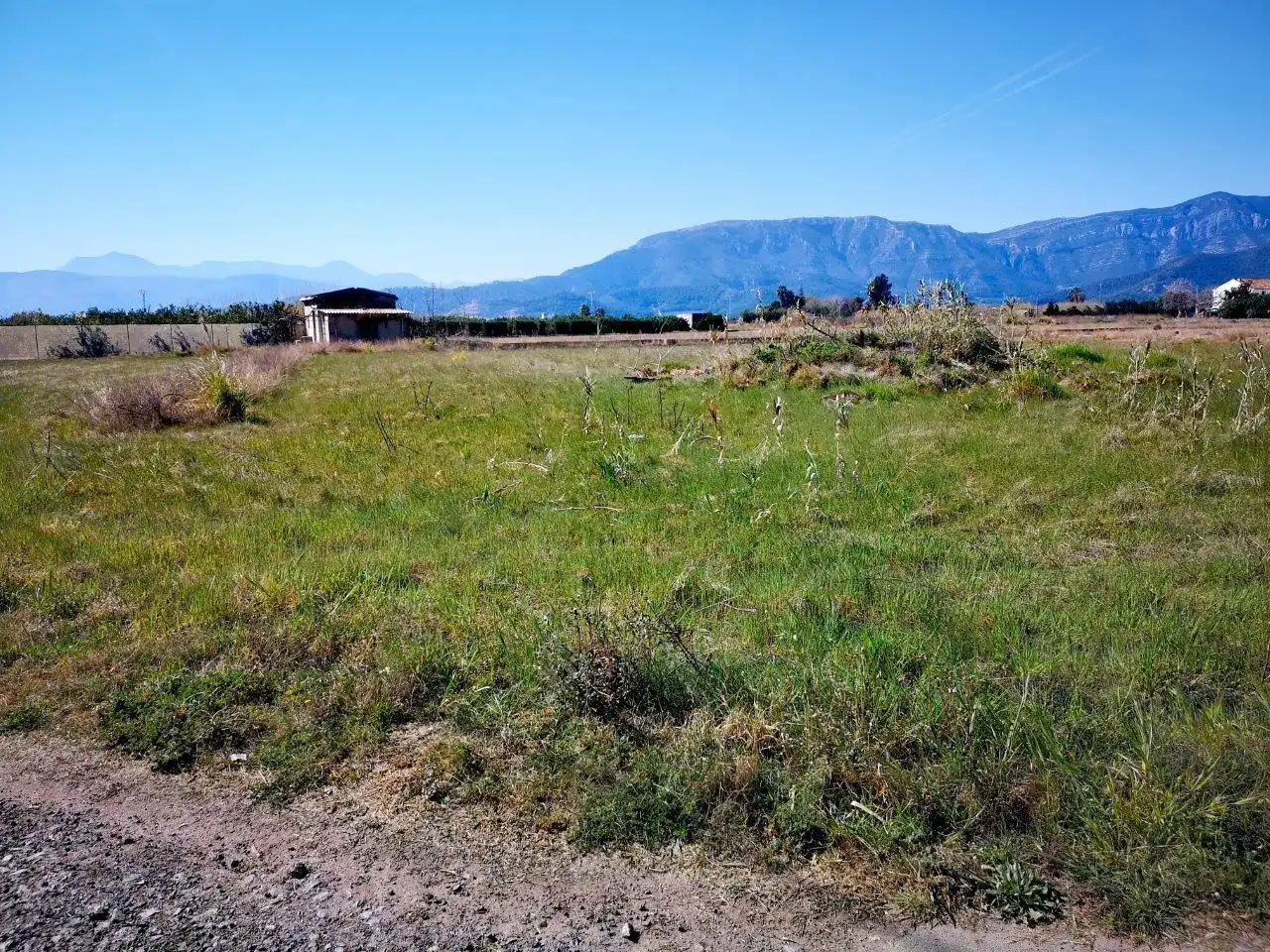 Terrenys i solars en venda a El Marenyet