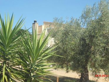 Casa con jardín en venta en Partida SEGURES 7