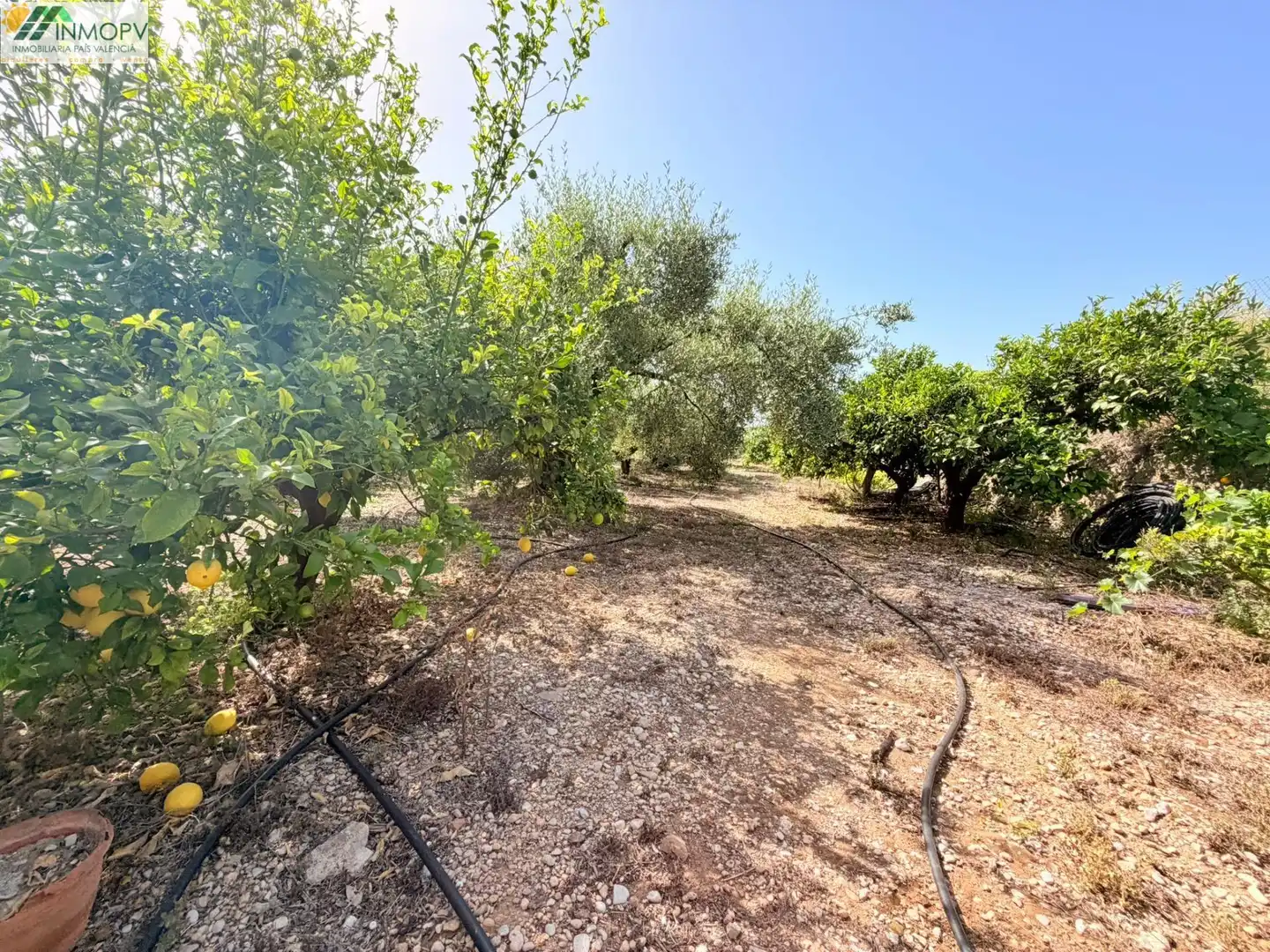 Houses for sale in Vinaròs  with Private garden and Terrace