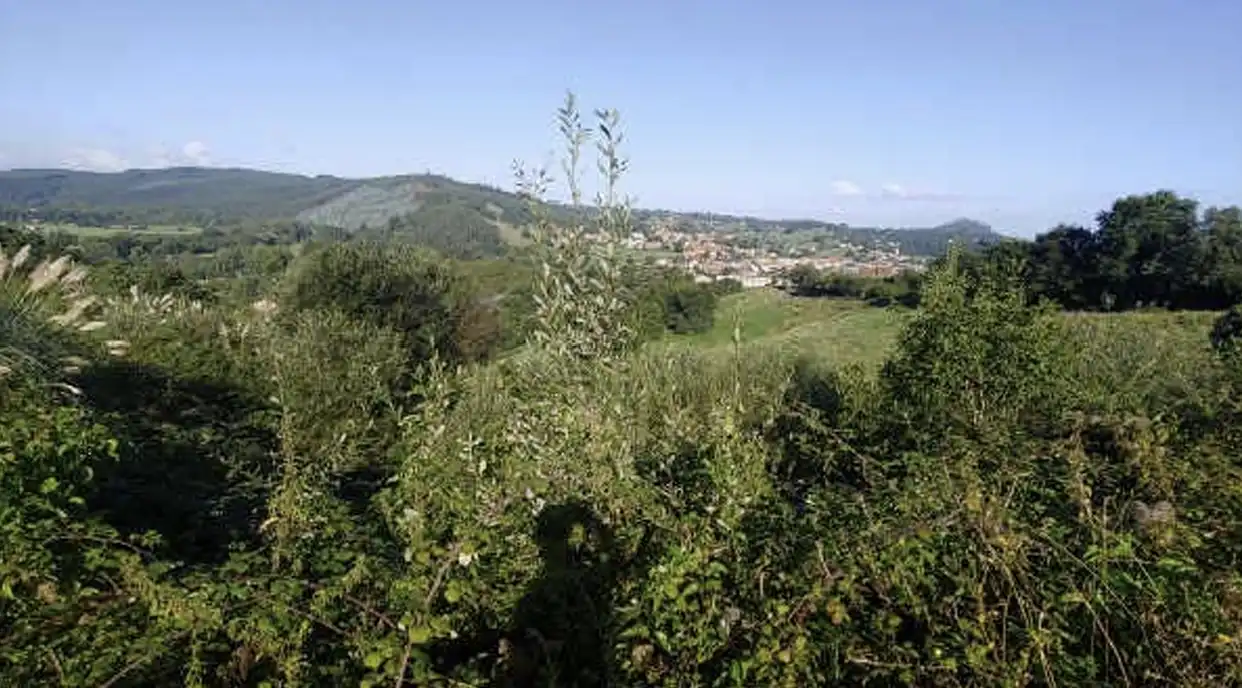 Terreni e lotti in vendita a Barcenilla, imagen 3