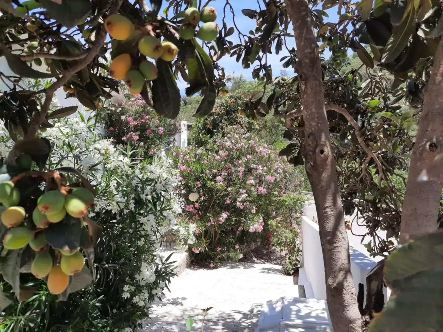 Jardí de Finca rústica en venda en Iznájar amb Aire condicionat, Piscina i Balcó