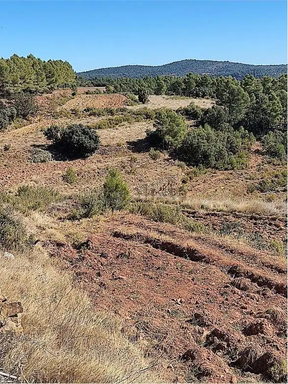 Finca rústica en venda en Zucaina
