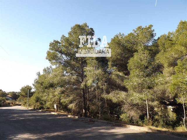 Terreno en Venta en de Santa Maria de Montserrat en Segur de Dalt