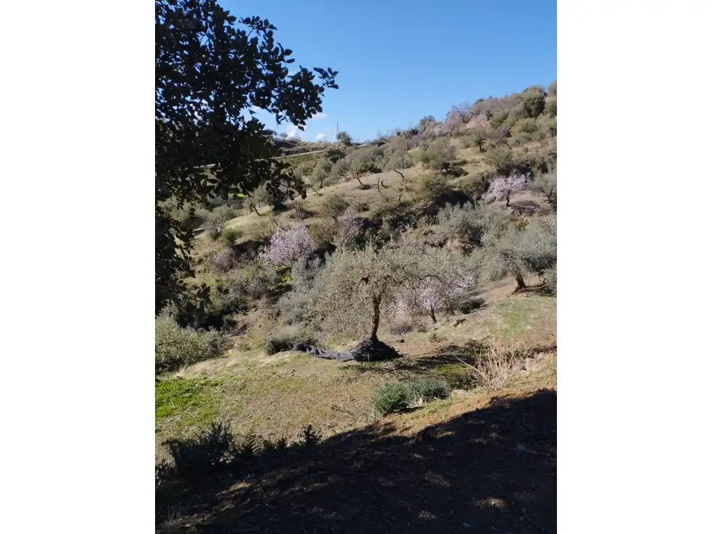 Casa o chalet en venta en Riogordo