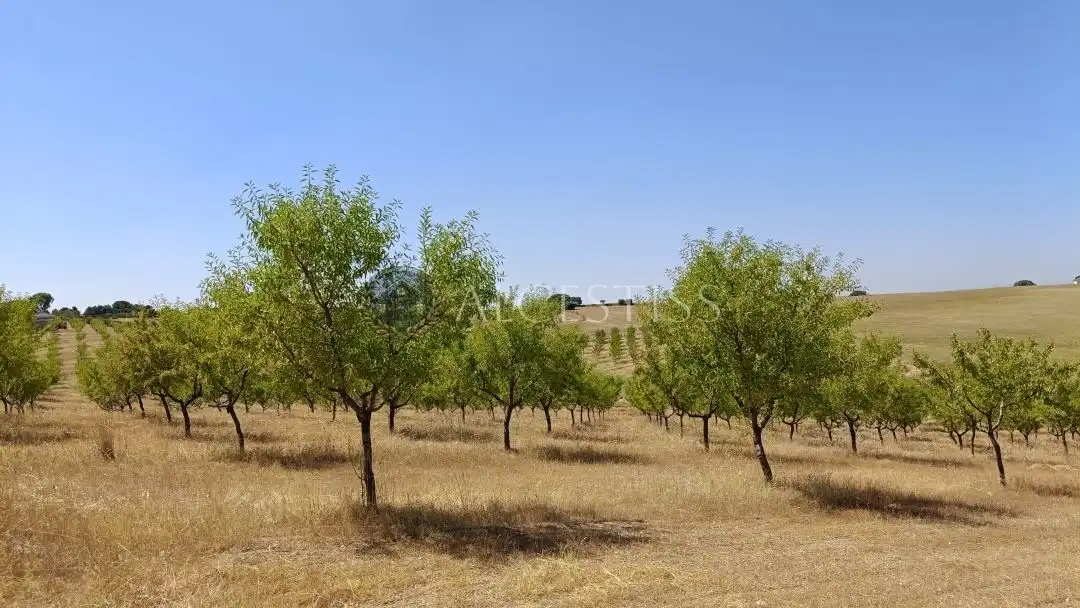 Terreni e lotti in vendita a Méntrida, imagen 19