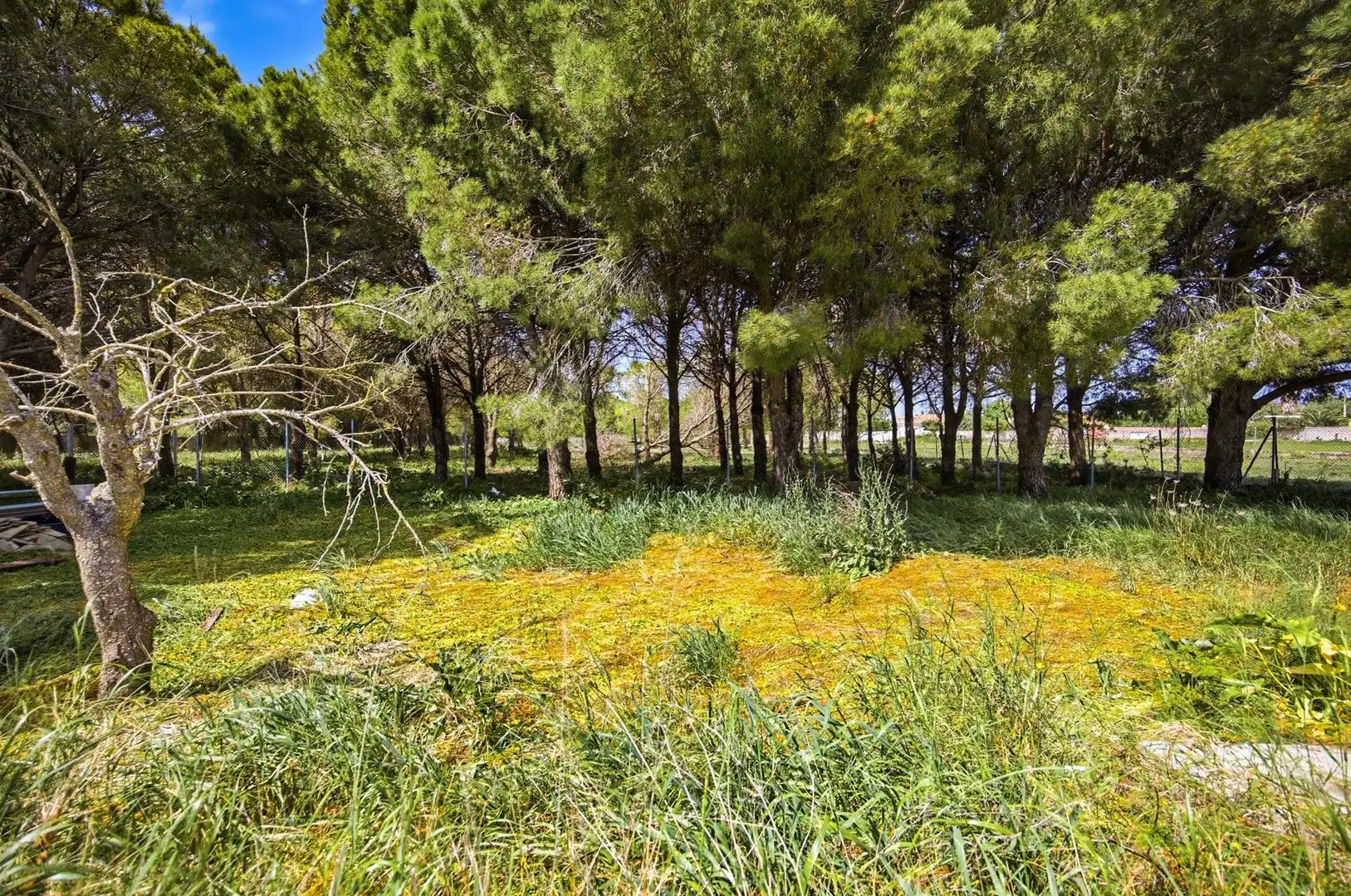 Casa o xalet en venda en Chiclana de la Frontera amb Traster