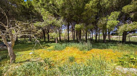 Photo 5 of Houses for sale in Los Franceses – La Vega, Chiclana de la Frontera