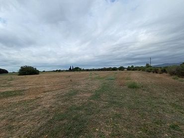 Lands and plots for sale in EL BASSAL