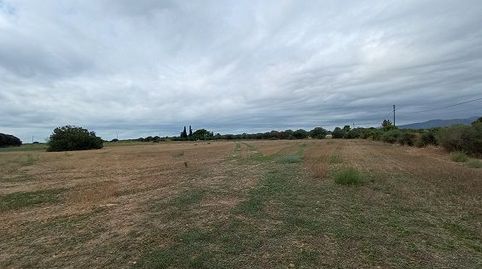 Parc. Rúst. en venta en Constanti., immagine 2