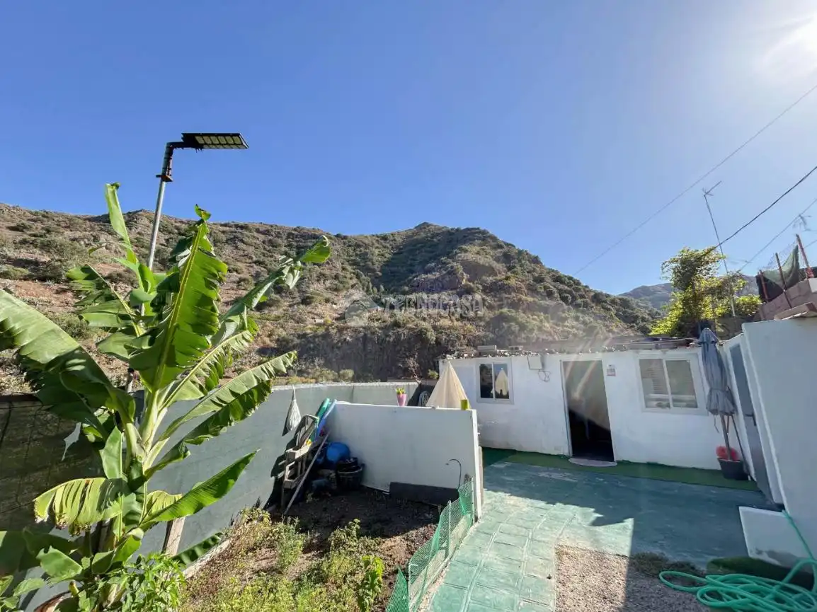Vista exterior de Finca rústica en venta en Telde con Jardín privado y Terraza
