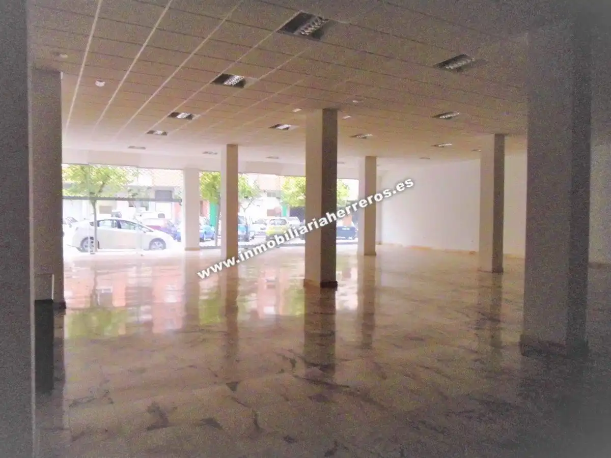 Business premises for sale in PINTOR ROSALES, imagen 7