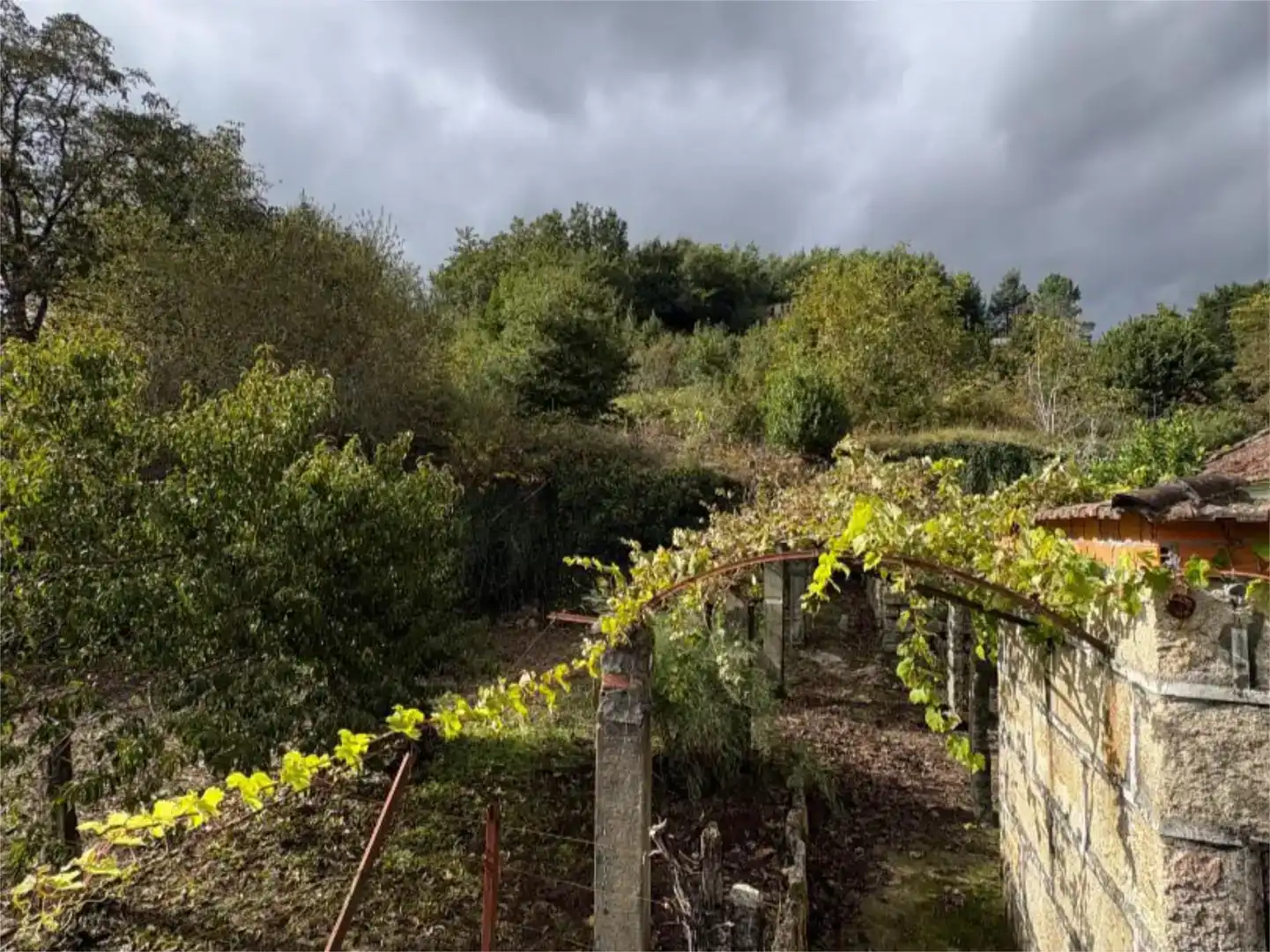 Casa o xalet en venda en Carballeda de Avia