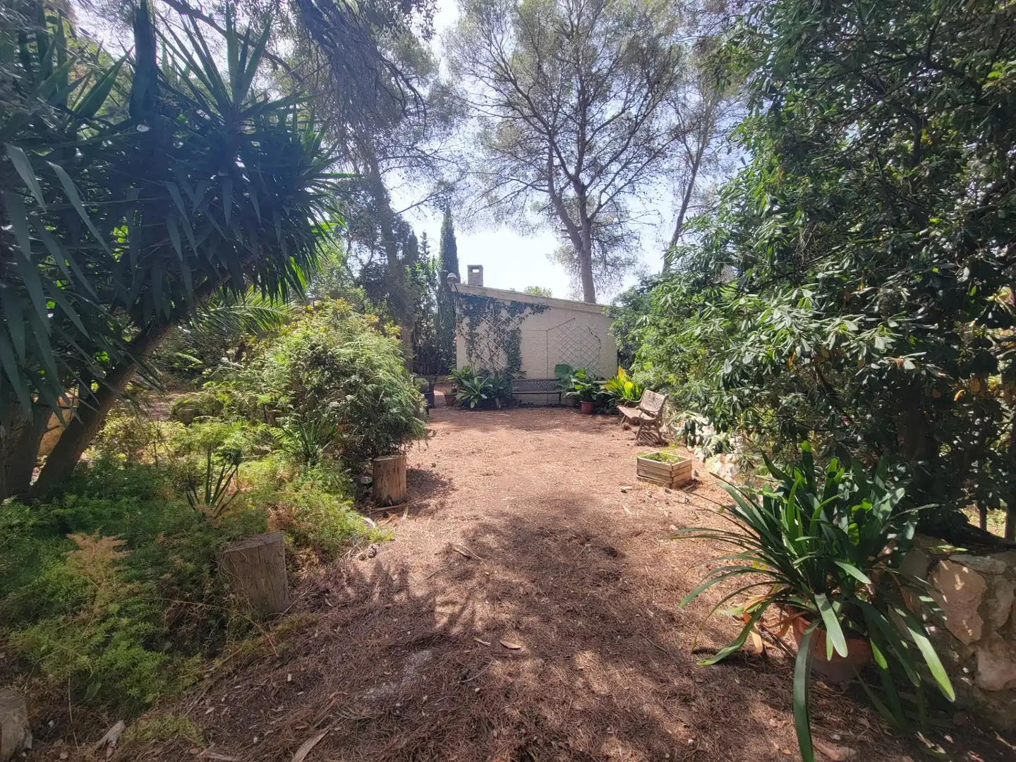 Lands and plots for sale in Avenida dels Pirineus, imagen 9