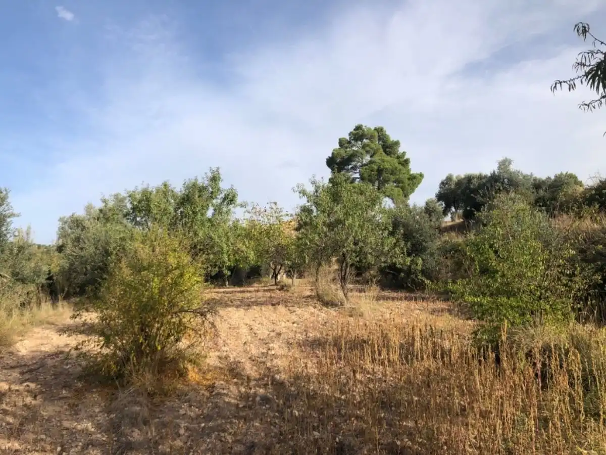 Finca rústica en venda en Valderrobres