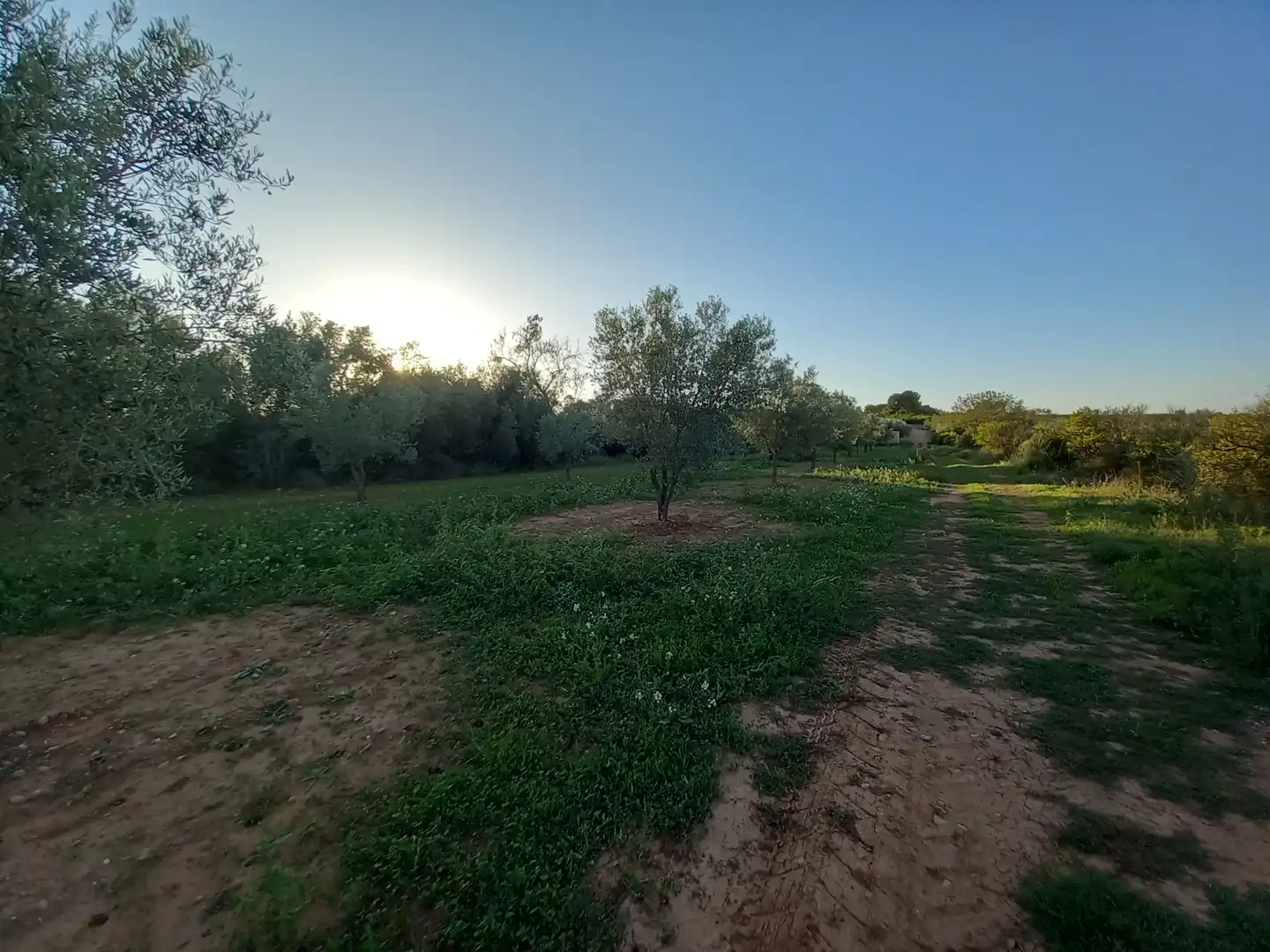 Terreny rústic en venda a Càlig, imagen 9