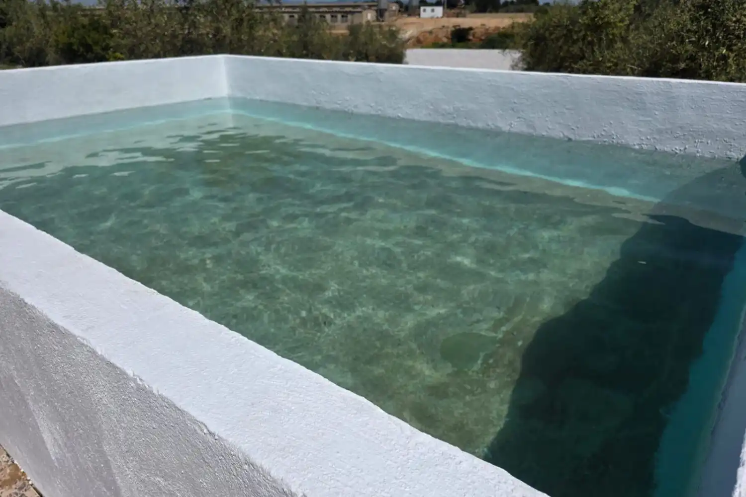 Piscina de Finca rústica en venda en Masdenverge