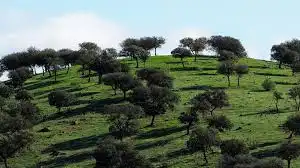 Terrenos y solares en venta en Aracena, imagen 6