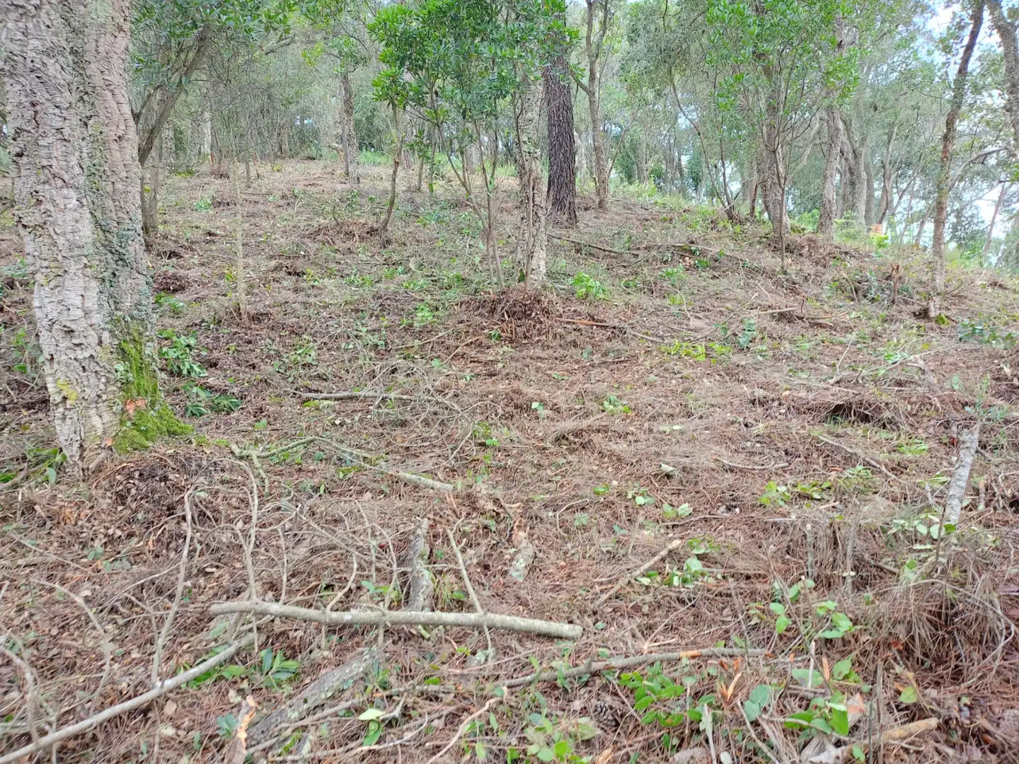 Residencial en venda en Vidreres