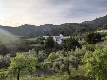 Casa rústica amb piscina en venda a Sedella