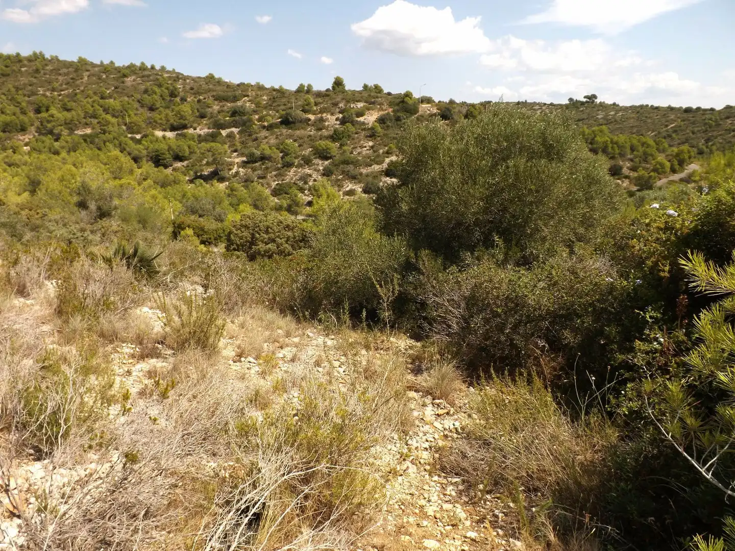 Terreno en venta en BOI, 77, Segur de Dalt
