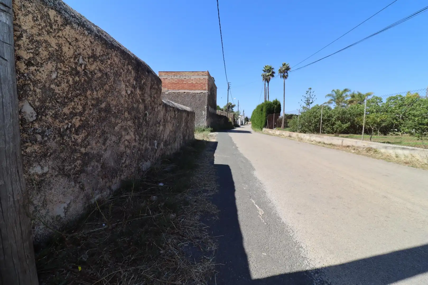 Terreno rustico in vendita a Alcanar, imagen 17