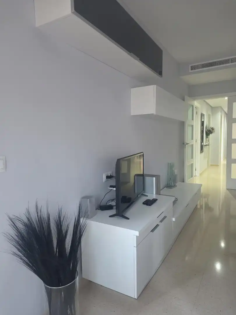 Living room of Apartments for sale in Plaza Castelar - Mercado Central