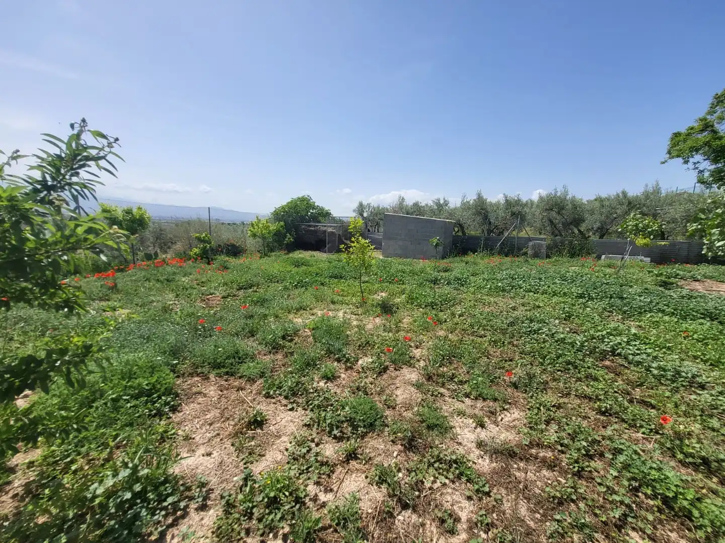 Terrenos y solares en venta en El Torreón - Cortijo Pretel, imagen 15