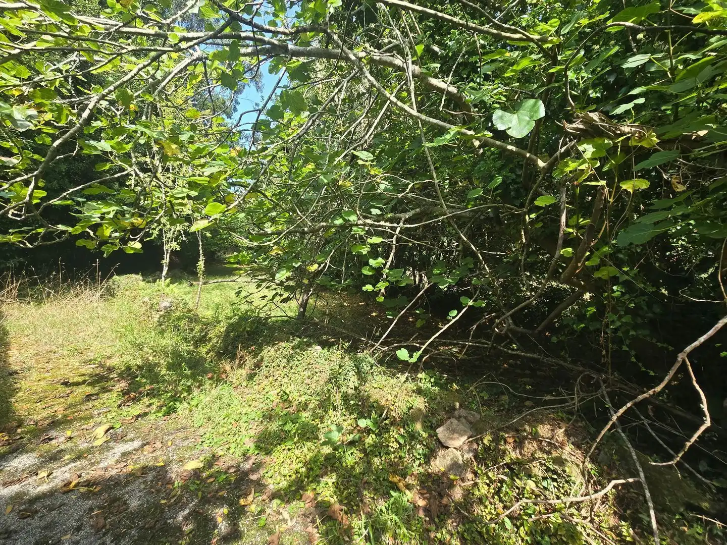 Country house with garden for sale in LG PENOUCO, O - PQ BOIMENTE 4, imagen 24
