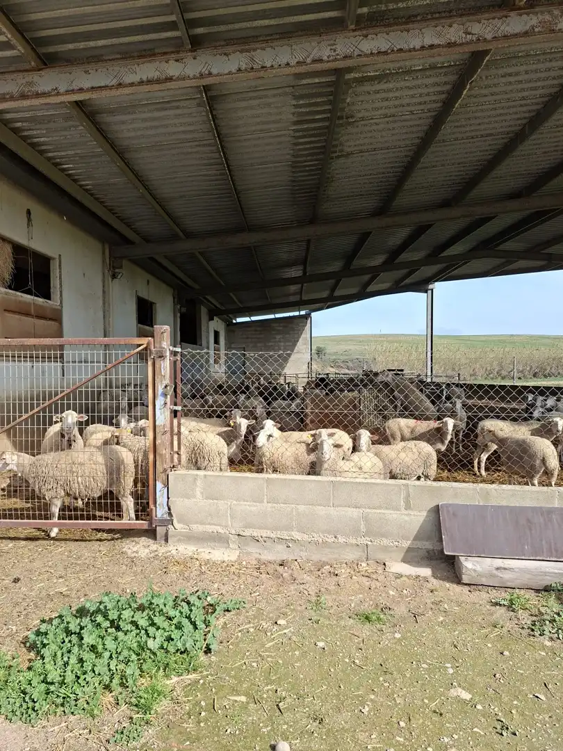 Terreni e lotti in vendita a Huerta Rimer de Alla, imagen 31