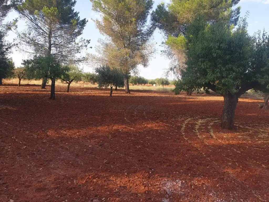 Xalet en venda a Argamasilla de Calatrava, imagen 7