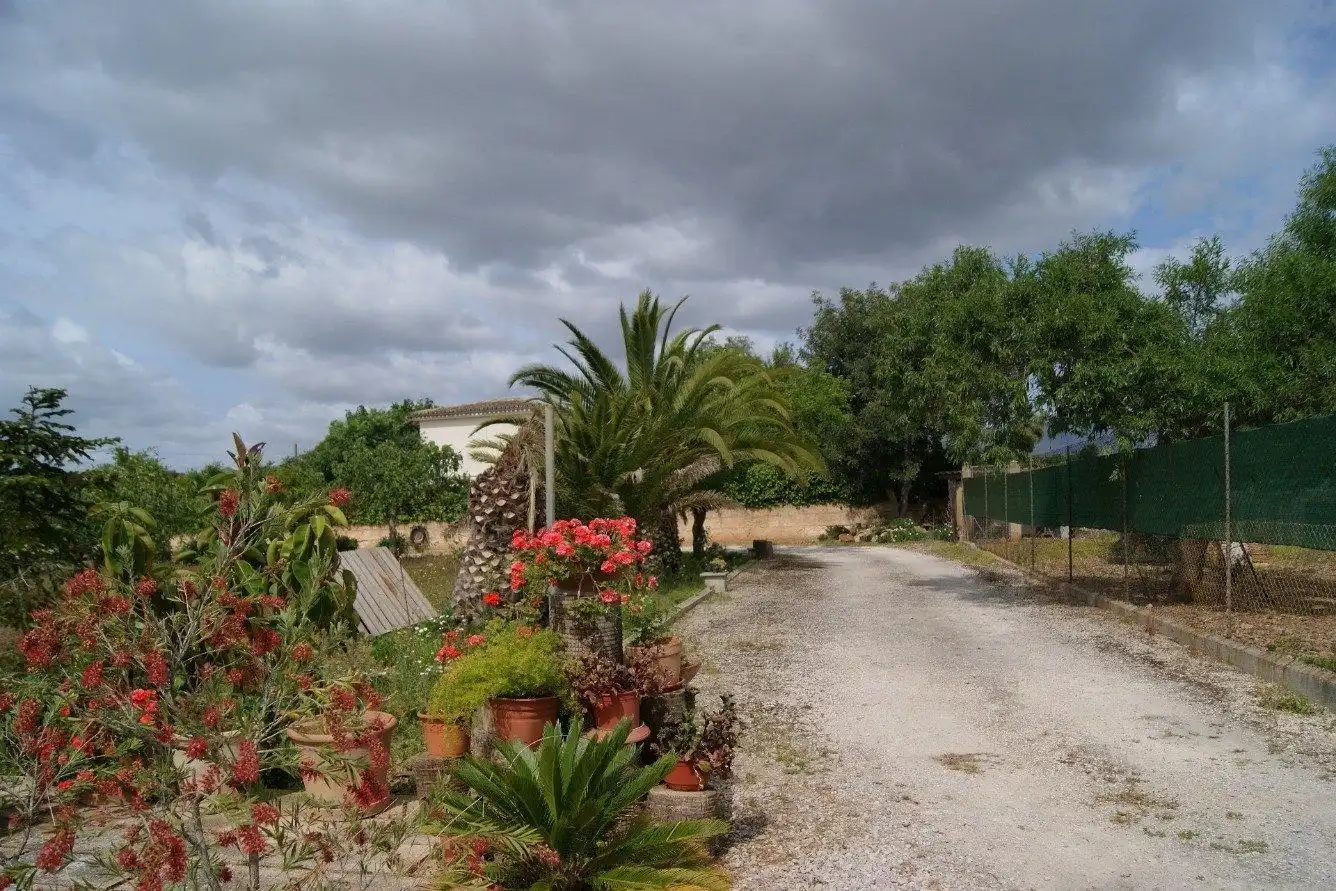 Jardín de Casa o chalet en venta en  Palma de Mallorca con Aire acondicionado, Calefacción y Terraza