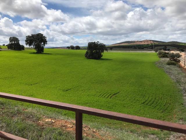 Terreno en Venta en A-4, Km. 2 en Santa Cruz de Mudela