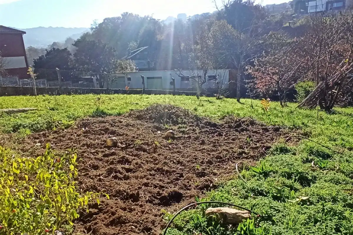 Terreni e lotti in vendita a A Baña, imagen 4